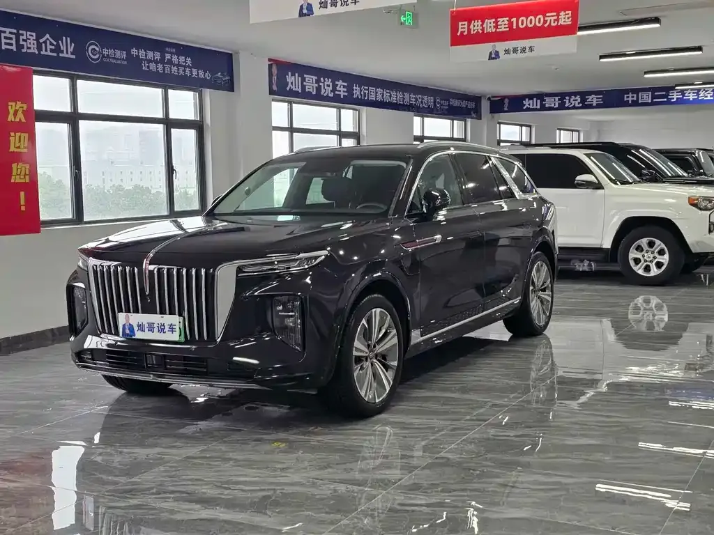 Hongqi E-HS9 — фото 1