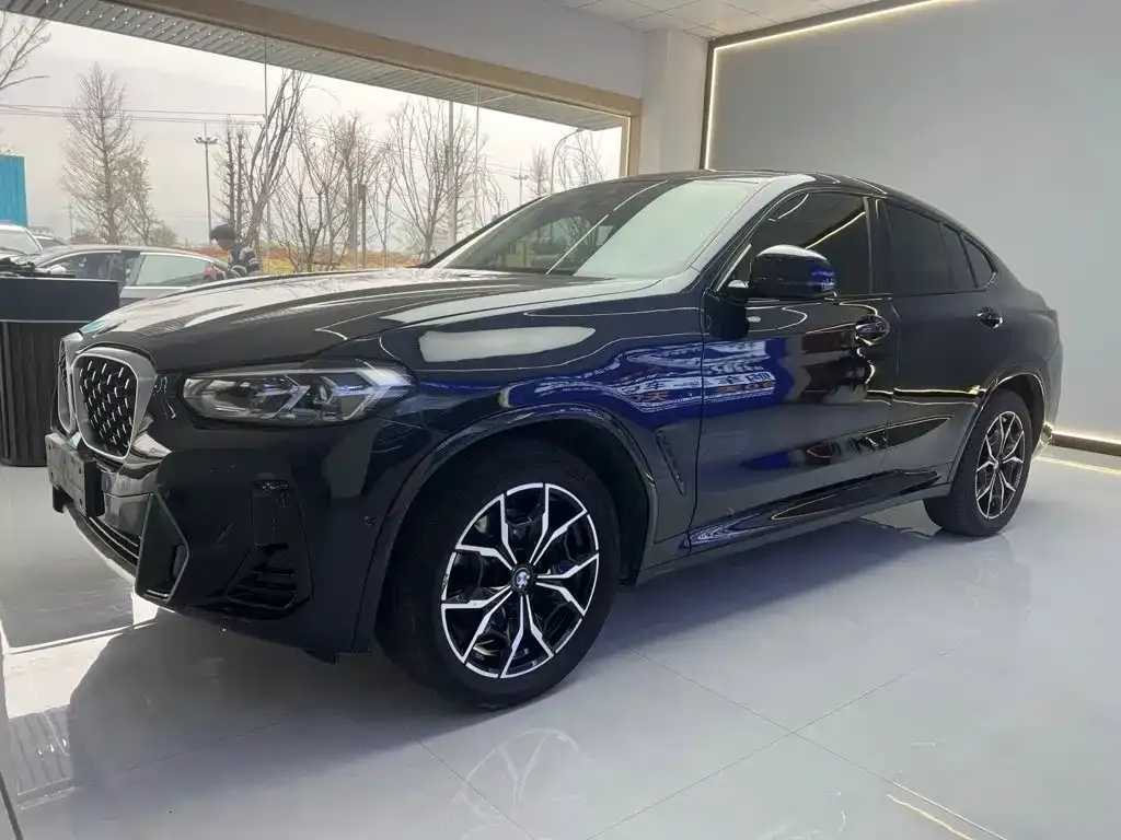 BMW X4 — фото 1