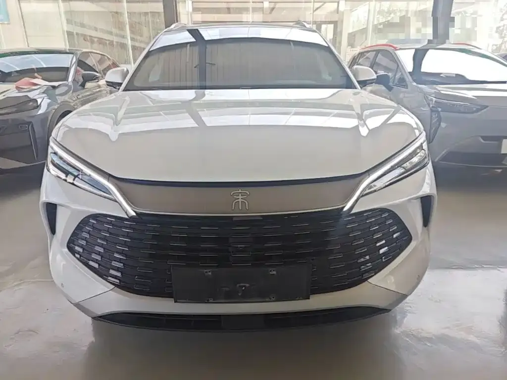 BYD L DM-i — фото 10