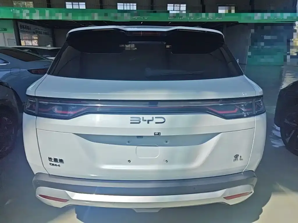 BYD L DM-i — фото 9