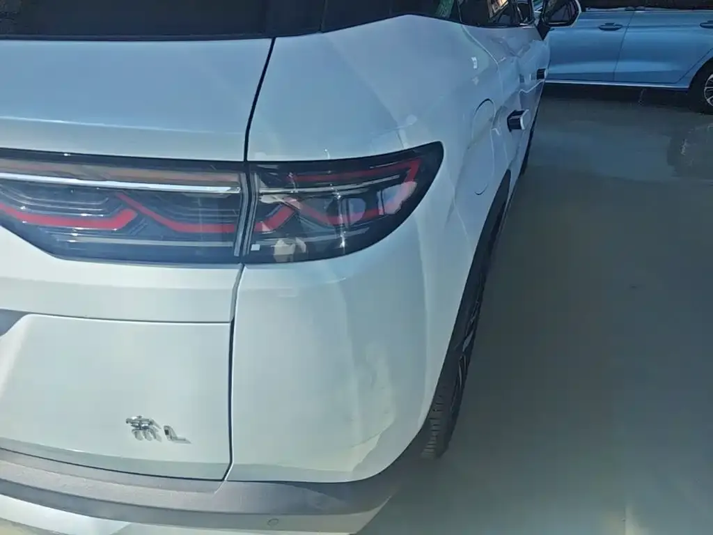 BYD L DM-i — фото 8