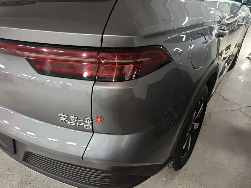 BYD Pro New Energy — фото 5