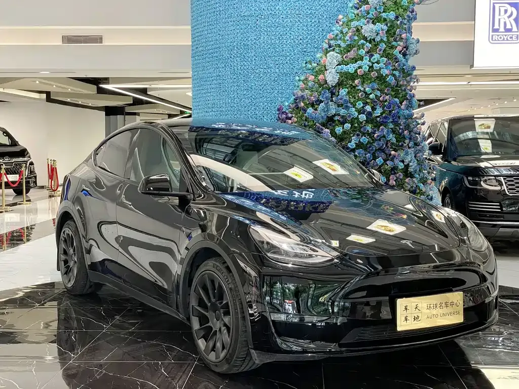 Tesla Model Y — фото 8