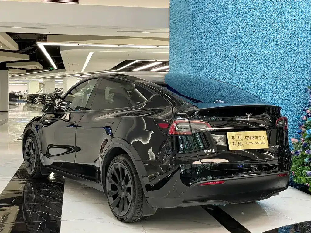 Tesla Model Y — фото 10