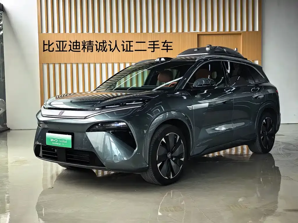 BYD Tang L — фото 1