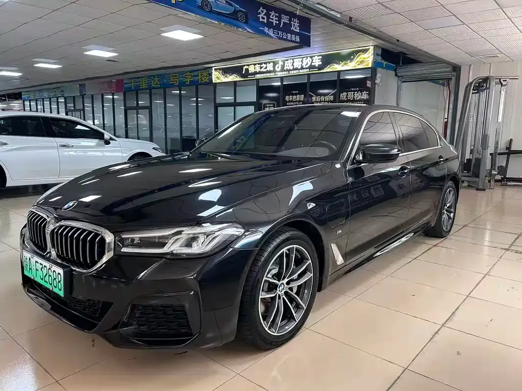 BMW 5 Series New Energy 535Le Pioneer M Sport 1