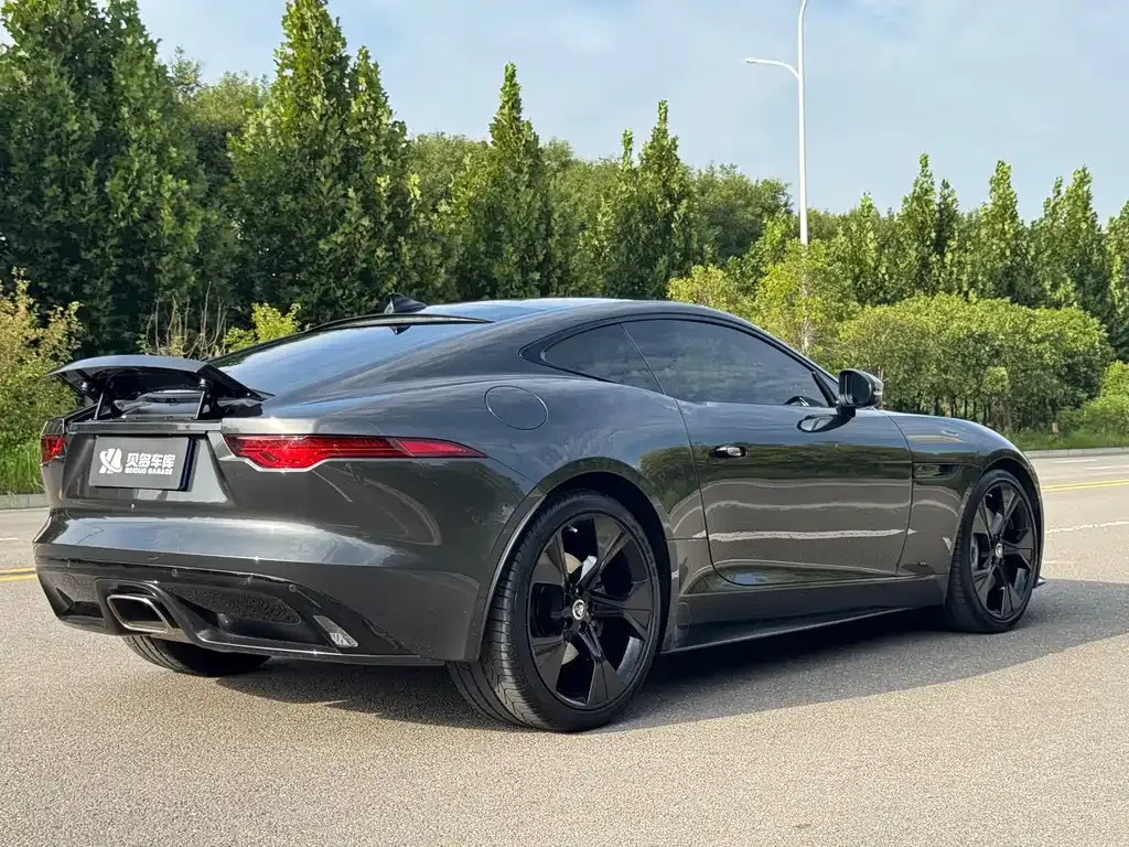 Jaguar F-TYPE — фото 9