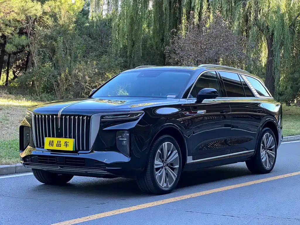Hongqi E-HS9 — фото 1