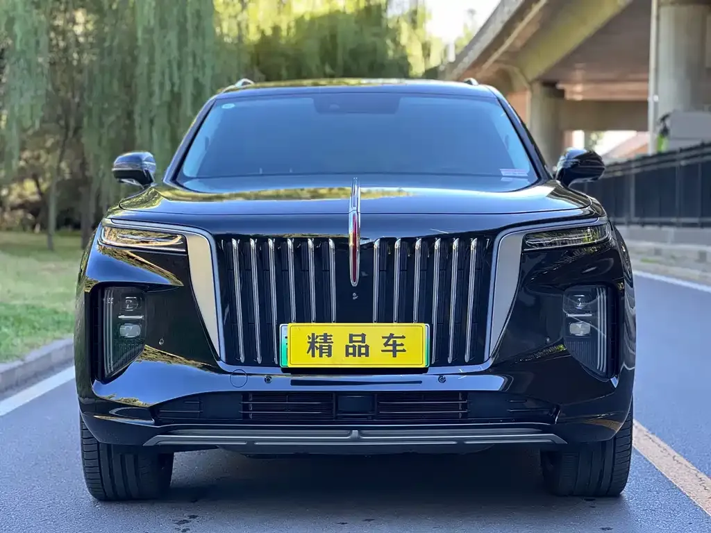 Hongqi E-HS9 — фото 4