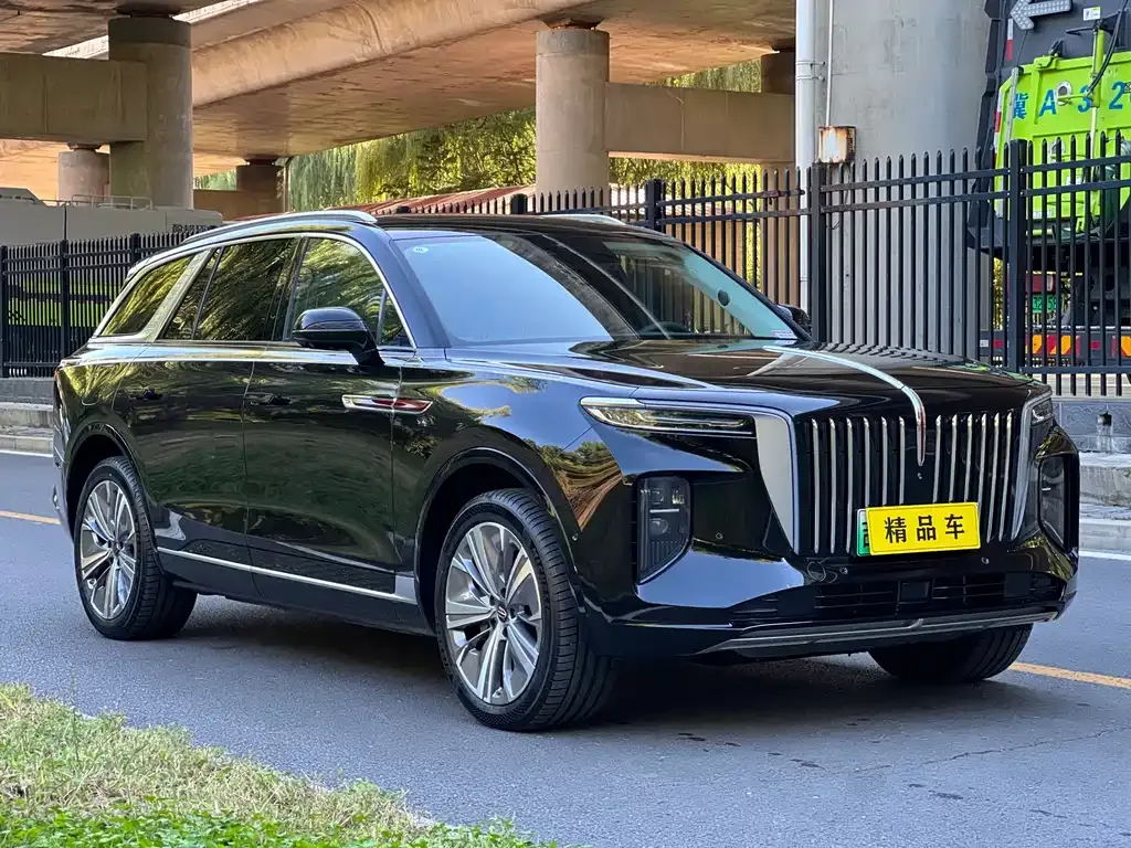 Hongqi E-HS9 — фото 7