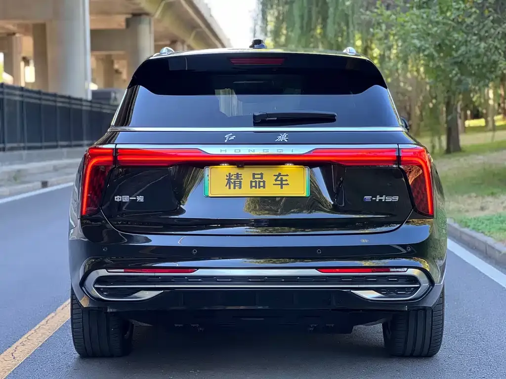Hongqi E-HS9 — фото 3