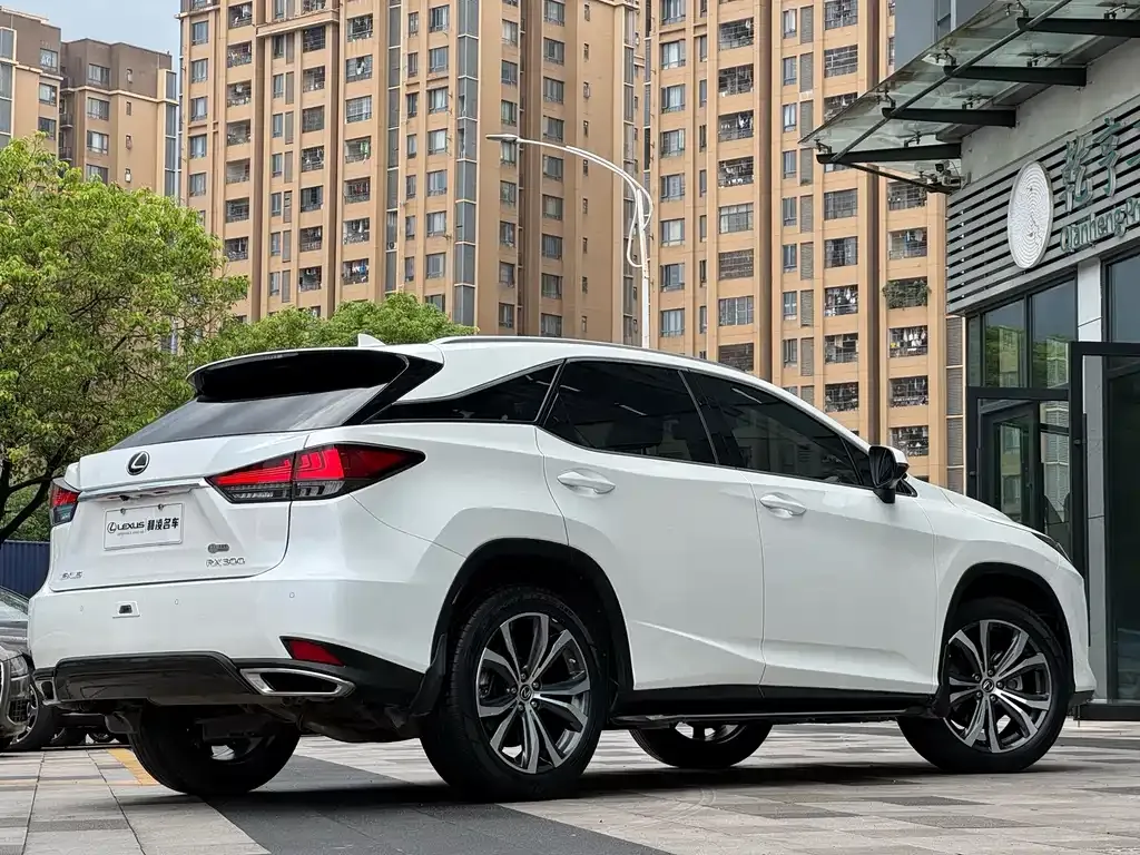 Lexus RX — фото 8