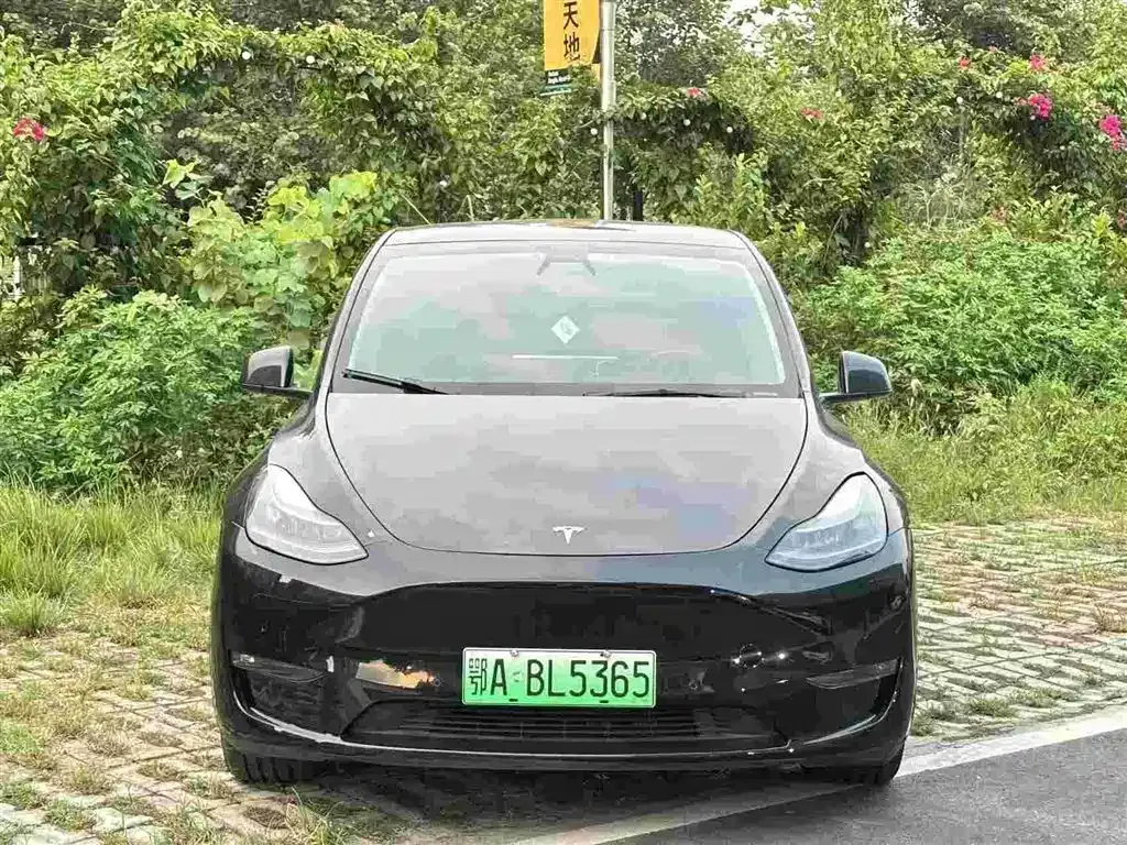 Tesla Model Y — фото 1