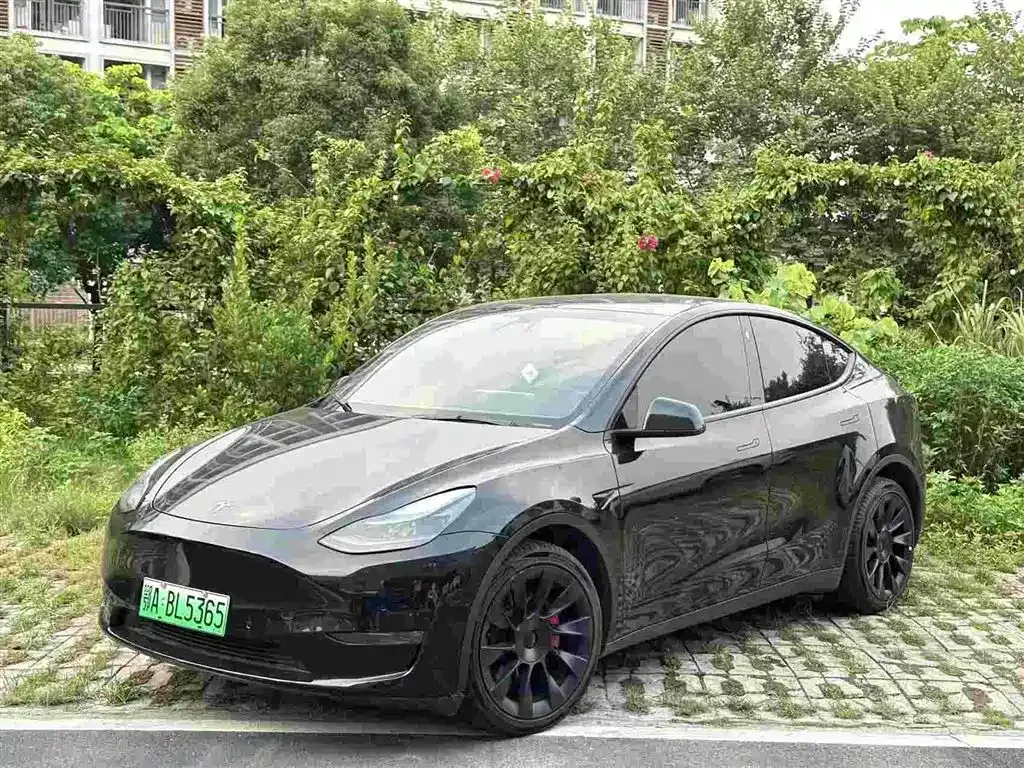 Tesla Model Y — фото 8