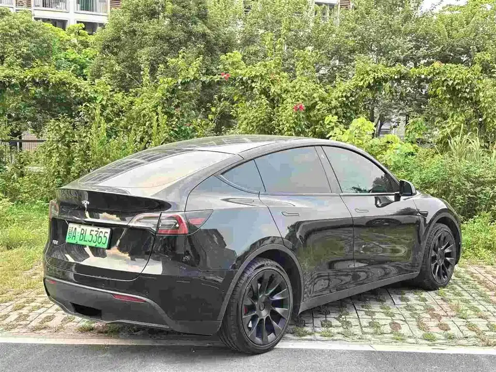 Tesla Model Y — фото 5