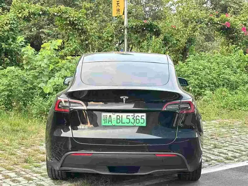 Tesla Model Y — фото 4