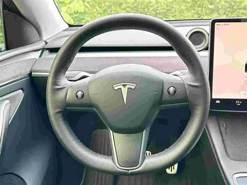 Tesla Model Y — фото 9