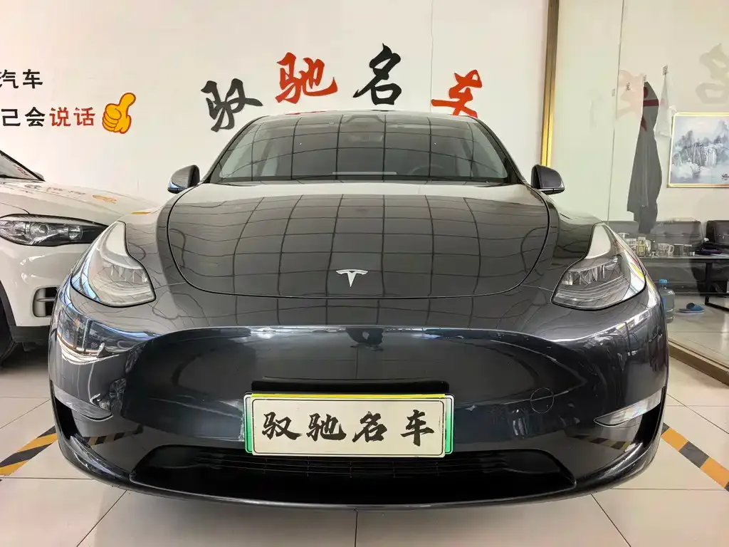 Tesla Model Y — фото 1