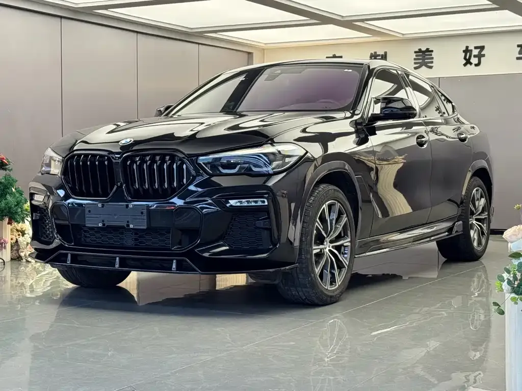 BMW X6 xDrive30i M Sport 1