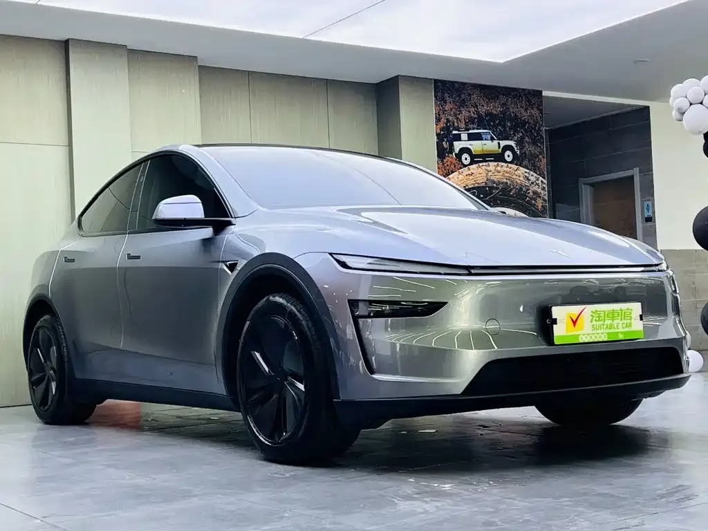 Tesla Model Y — фото 3