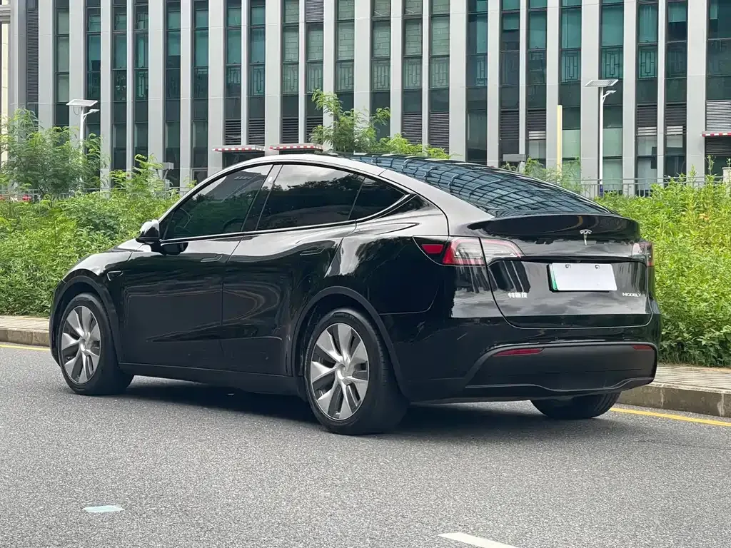 Tesla Model Y — фото 10