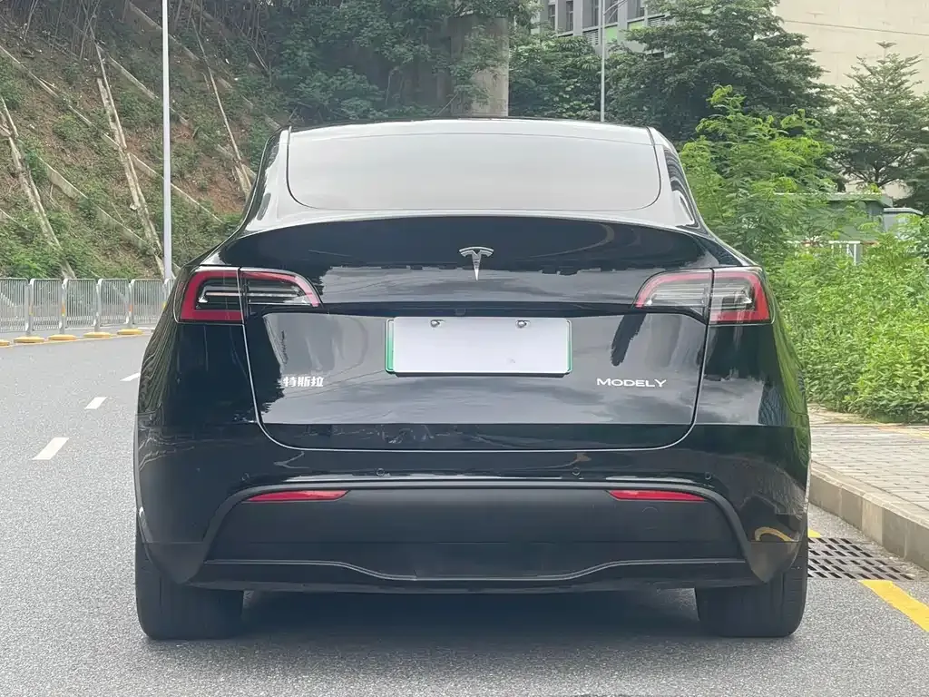 Tesla Model Y — фото 3
