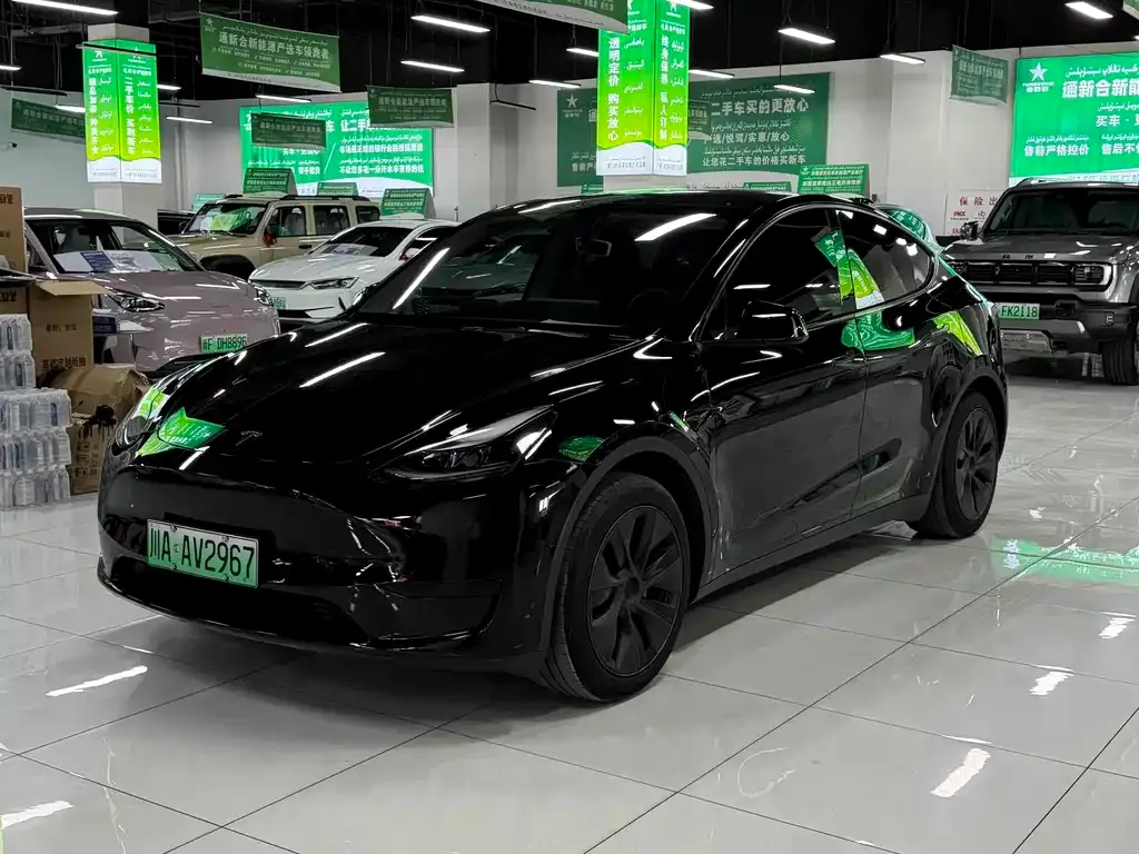 Tesla Model Y — фото 1
