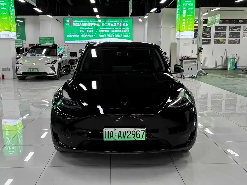 Tesla Model Y — фото 3