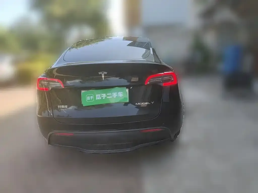 Tesla Model Y — фото 9