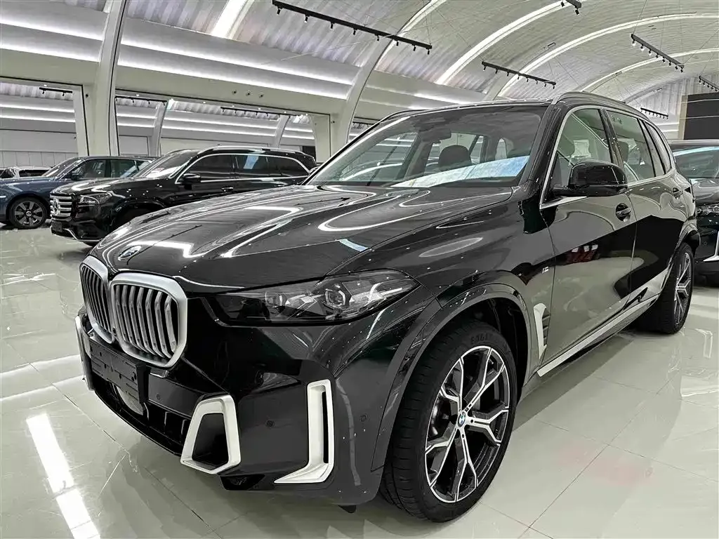 BMW X5 xDrive 30Li Premium M Sport 1
