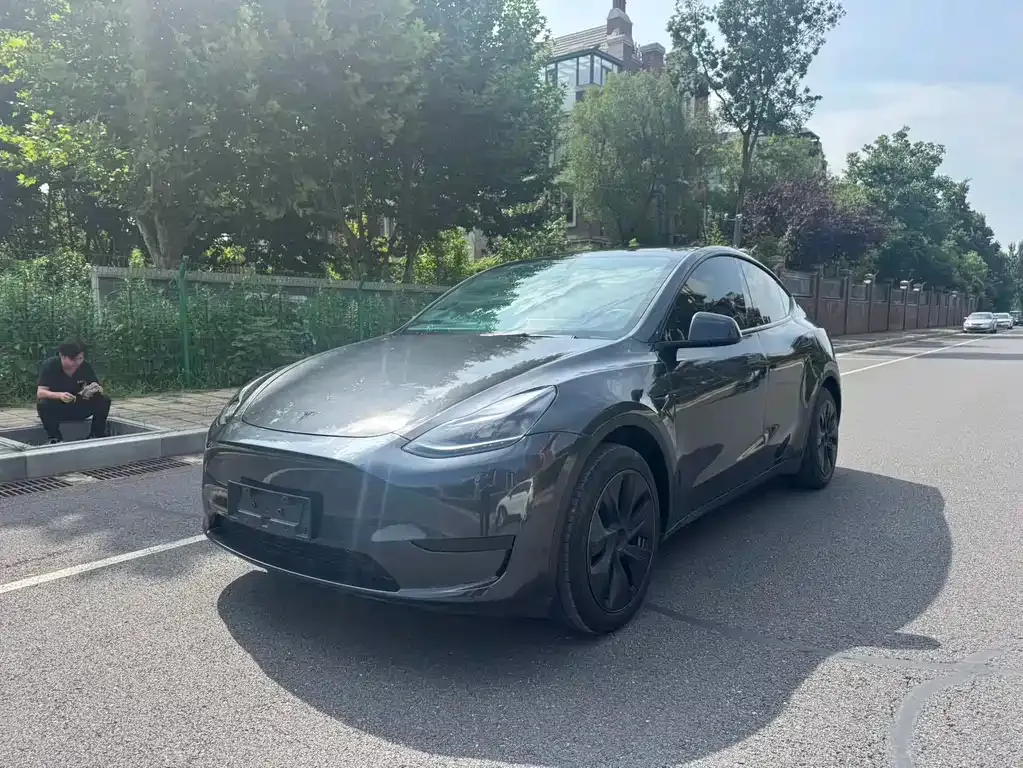 Tesla Model Y — фото 1