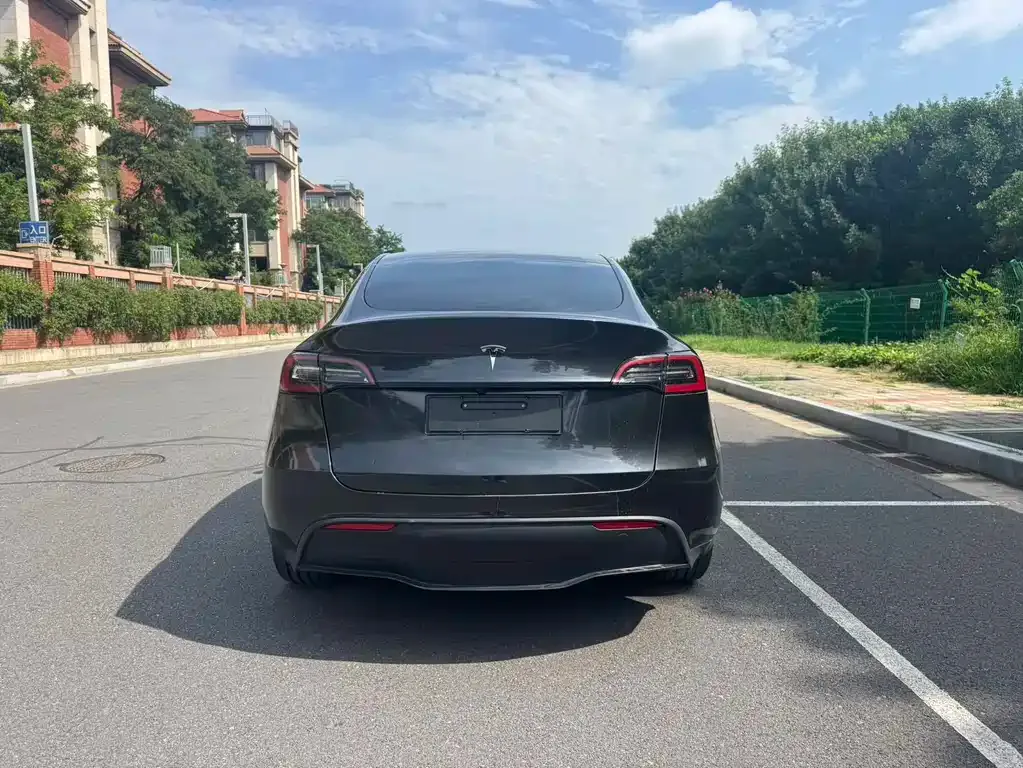 Tesla Model Y — фото 6