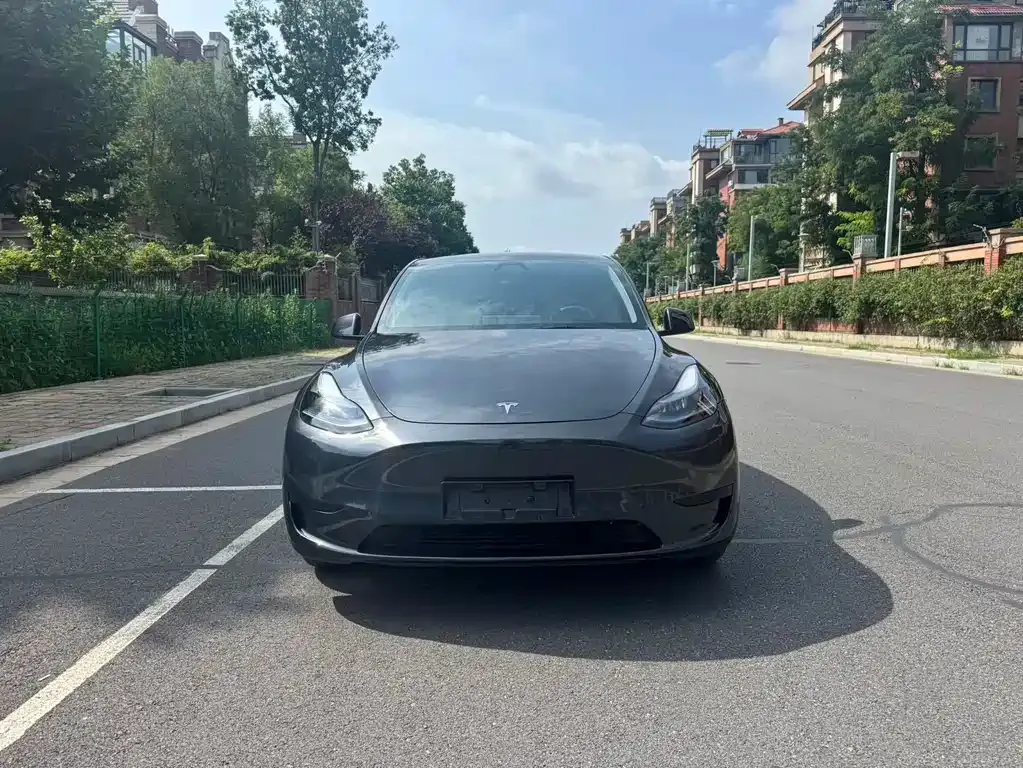 Tesla Model Y — фото 8