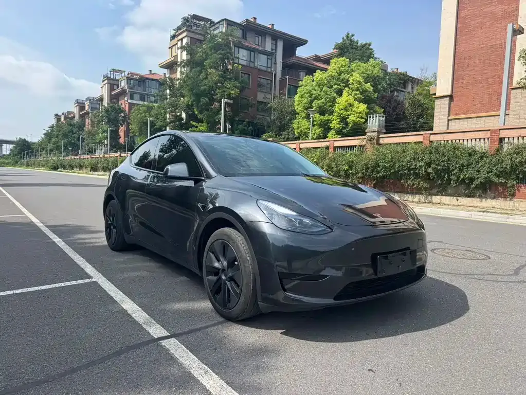 Tesla Model Y — фото 4