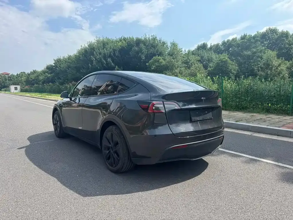 Tesla Model Y — фото 10