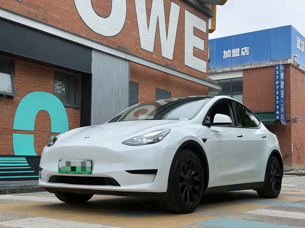 Tesla Model Y — фото 1