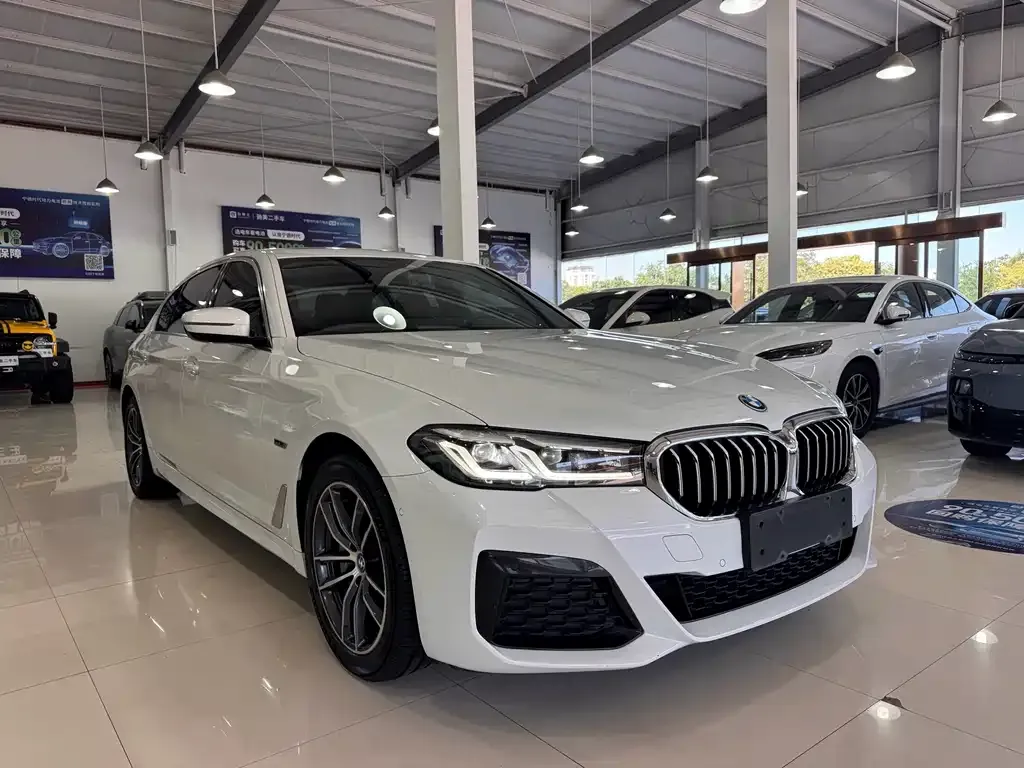 BMW 5 Series New Energy — фото 4