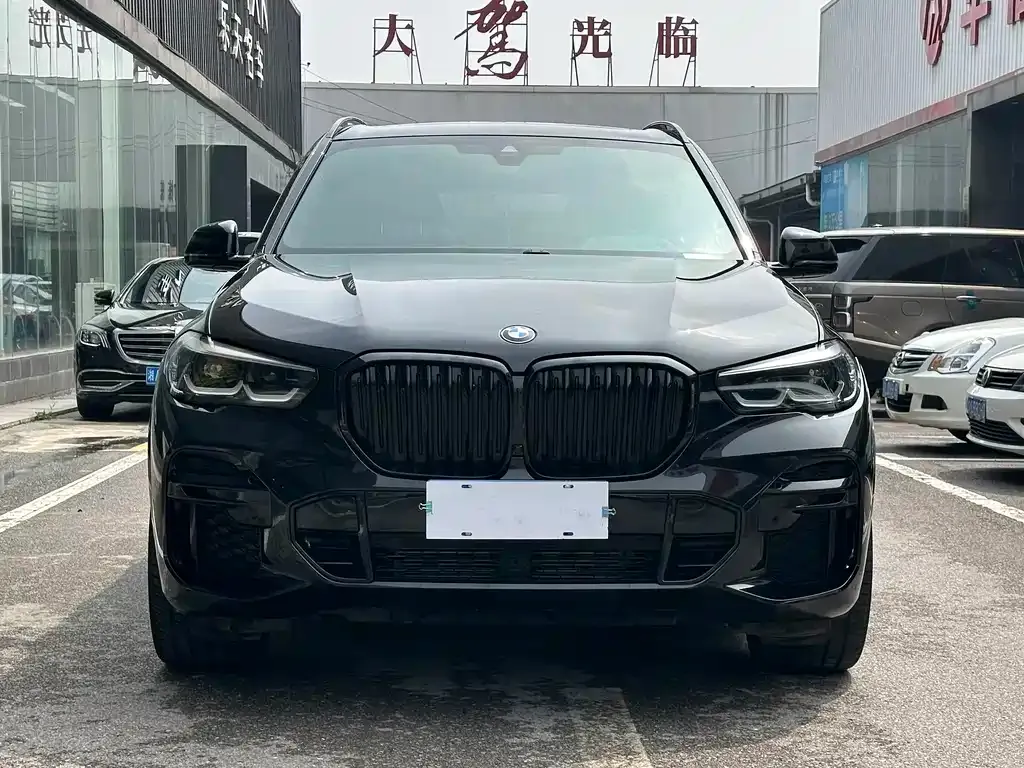 BMW X5 (Import) — фото 6