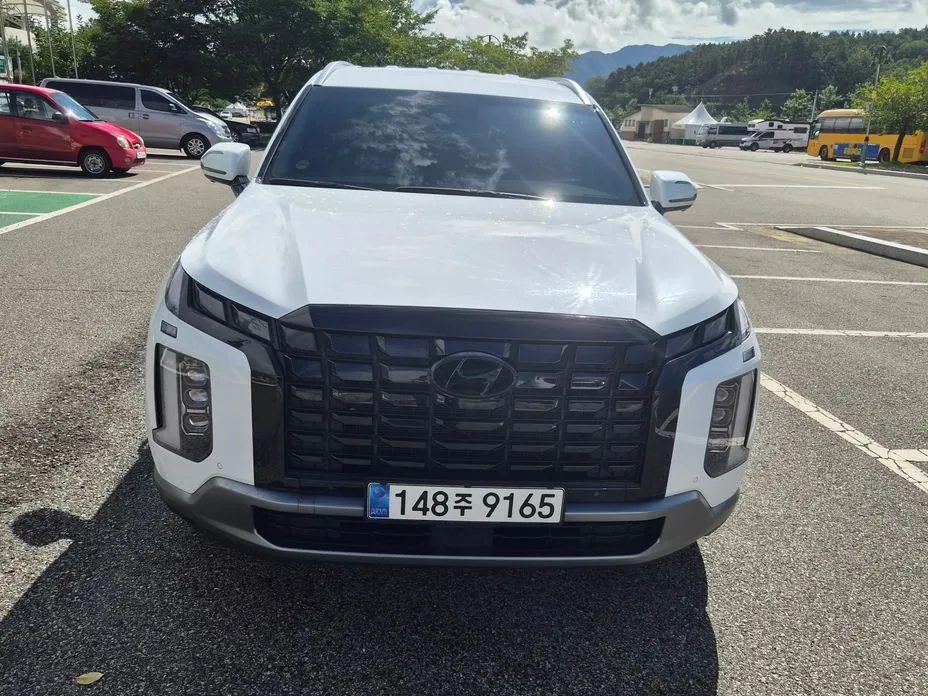 Hyundai Palisade — фото 10