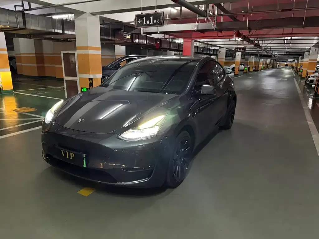 Tesla Model Y — фото 1