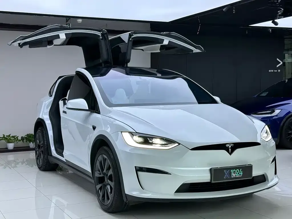 Tesla Model X — фото 6