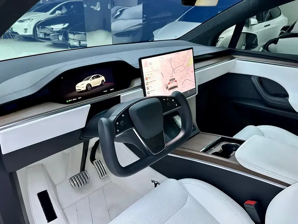 Tesla Model X — фото 7