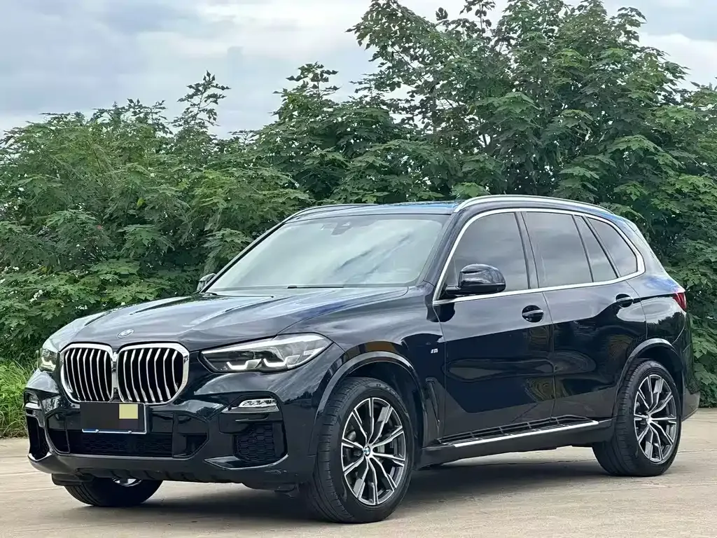 BMW X5 (Import) — фото 9