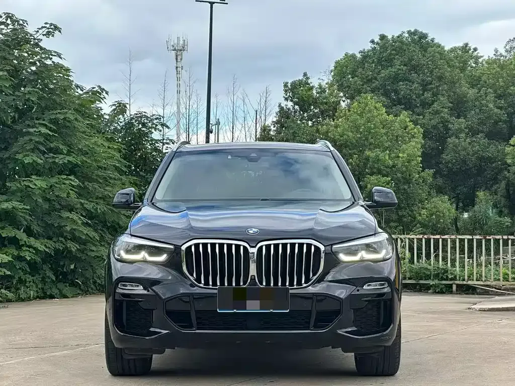 BMW X5 (Import) — фото 3