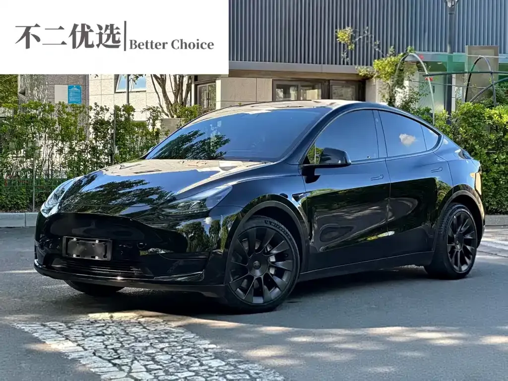 Tesla Model Y — фото 1