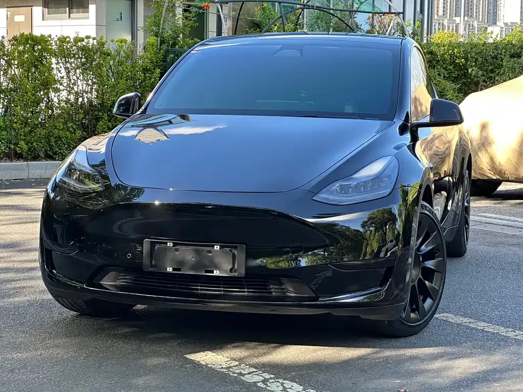 Tesla Model Y — фото 3