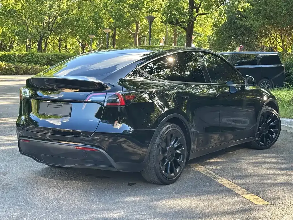 Tesla Model Y — фото 8
