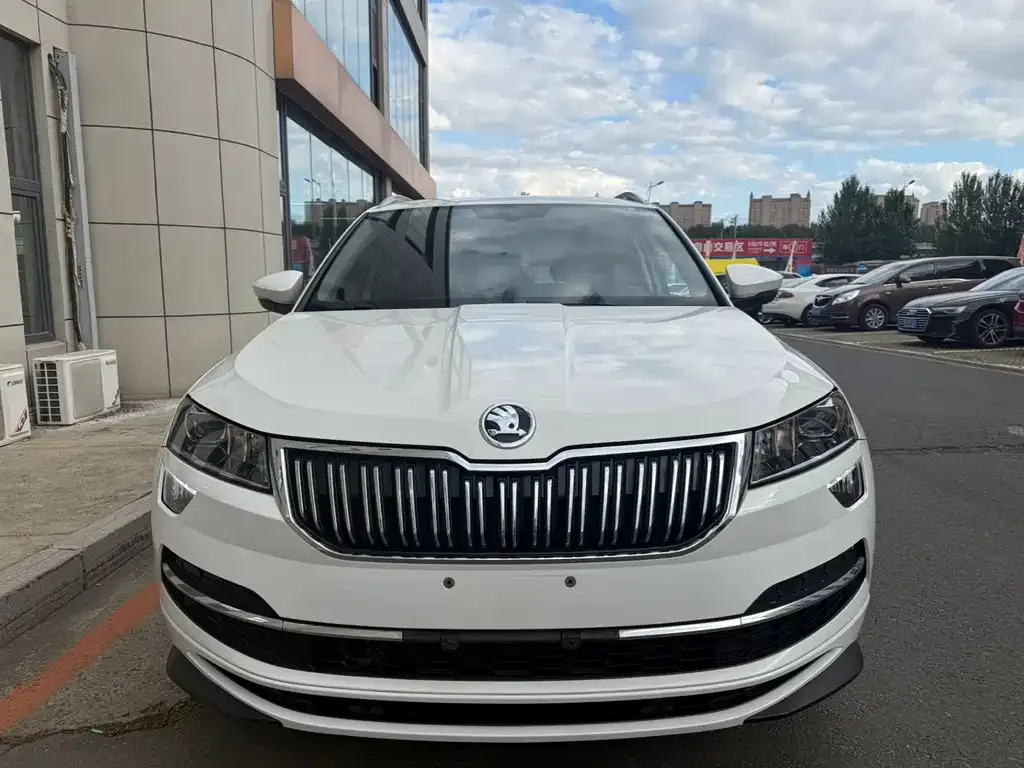 Skoda Karoq — фото 10