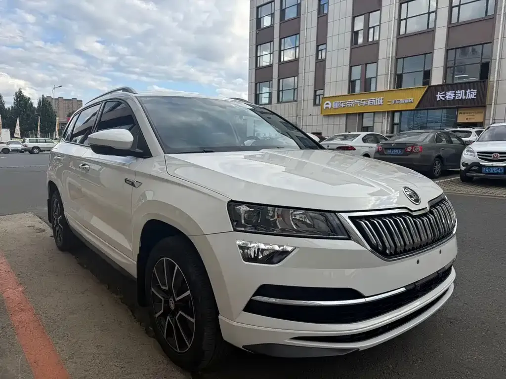 Skoda Karoq — фото 6