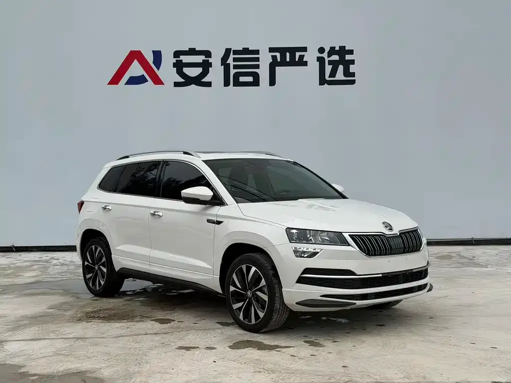 Skoda Karoq — фото 4